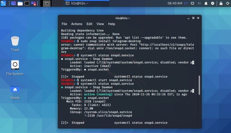 Start SNAPD service on Kali or Ubuntu Linux