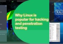 Why do hackers use Linux? And popular distros for hacking.