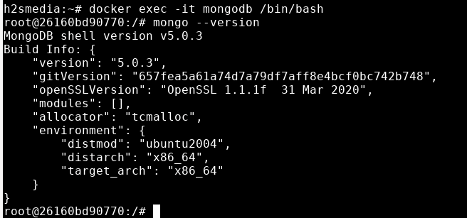 Access mongodb docker container command line