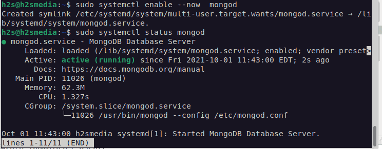 Start MongoDB service on Debian 11