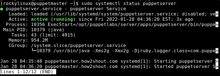 Start Puppet Server on Rocky AlmaLinxu 8