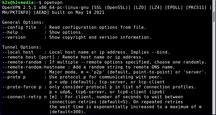 openvpn command options