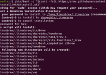 Install Brew on Ubuntu 24.04 or 22.04 LTS Jammy Linux