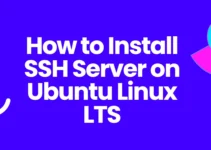 How to Install SSH Server on Ubuntu Linux LTS