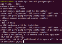 How to install latest PostgreSQL on Ubuntu 24.04 or 22.04 LTS Linux