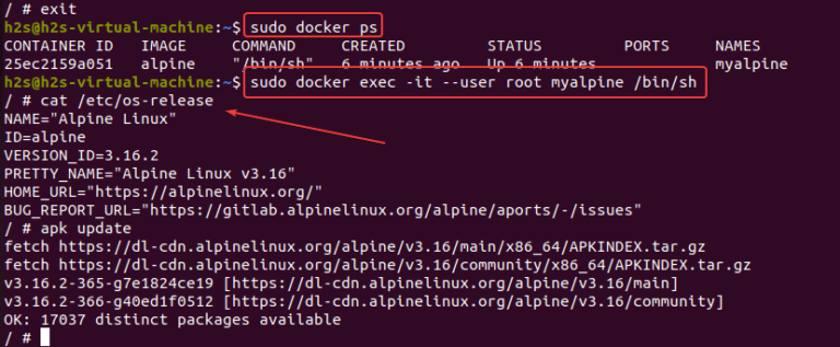 Steps to install Alpine on the Docker container