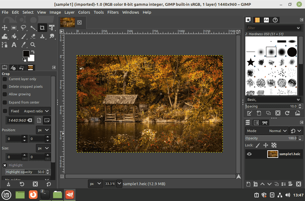 Use GIMP to open HEIC in Linux Mint
