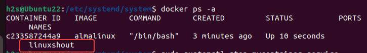 Find Docker container name