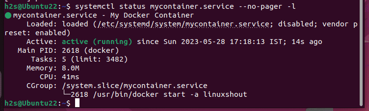 Start Enable Docker Container Service