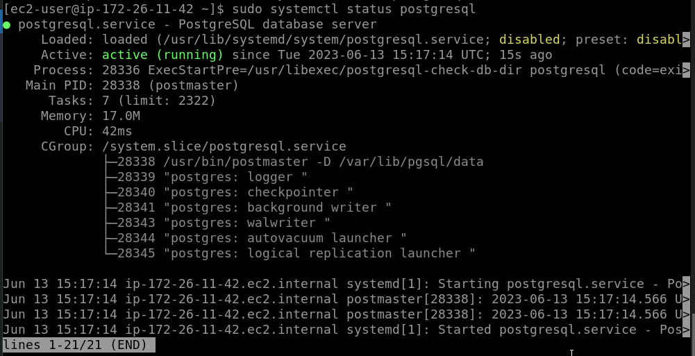 Start PostgreSQL service
