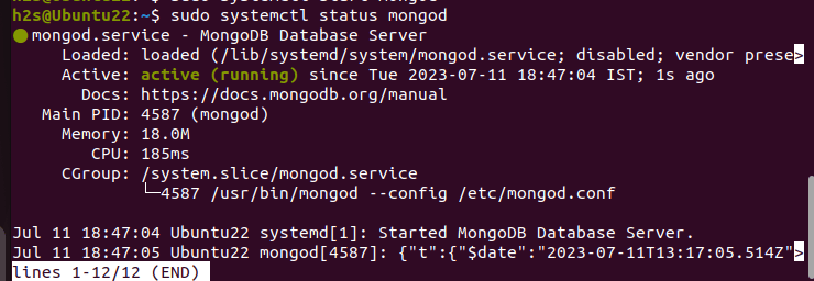 Enable the MongoDB service