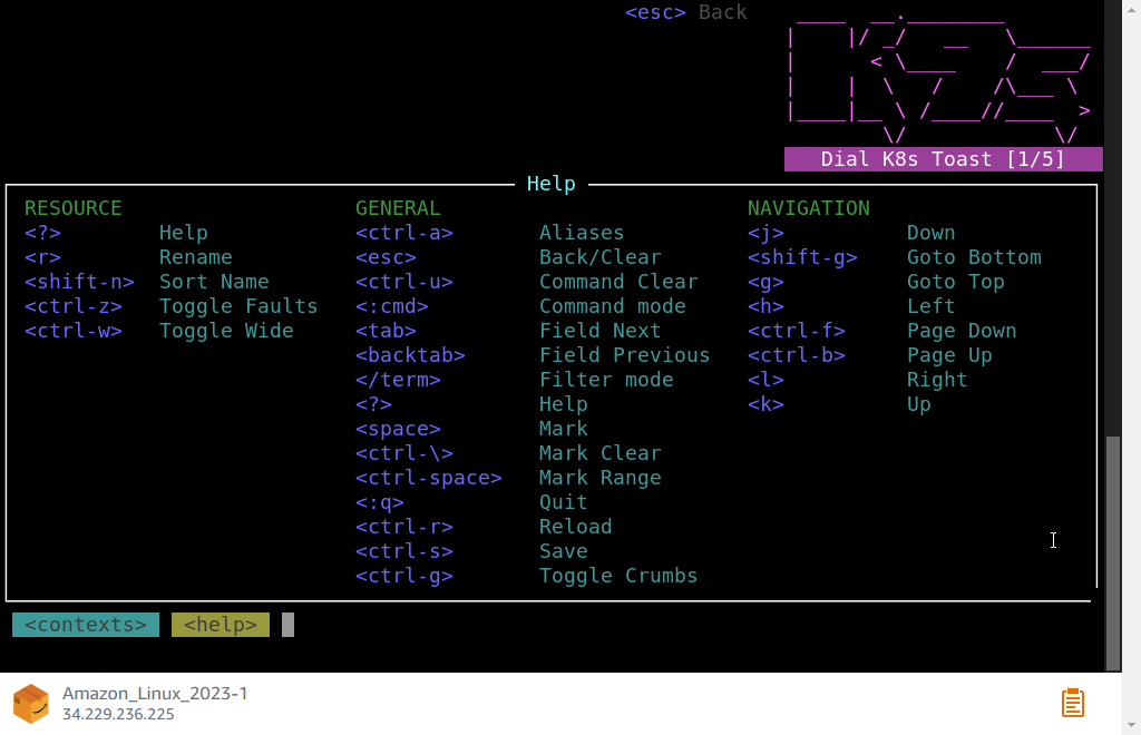 K9S Amazon linux options