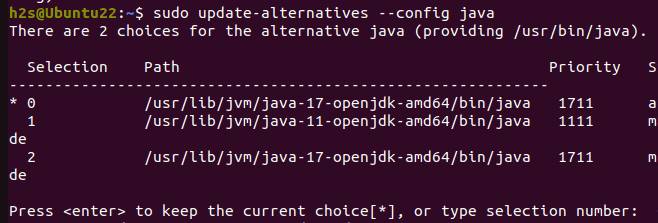 Set Default Java Version