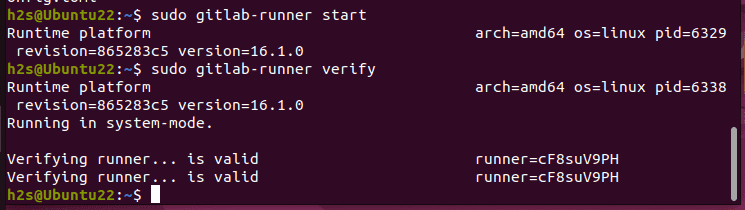 Verify GitLab Runner Status