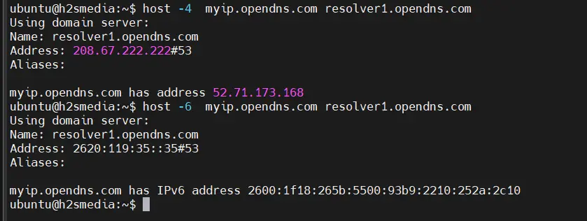 host command to get IP address public sever