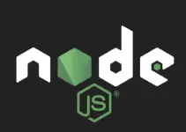 Installing Node.js and NPM on Ubuntu 24.04 LTS Linux