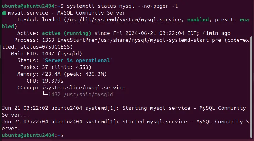 Start the MySQL database service