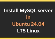 How to install MySQL server in Ubuntu 24.04 LTS Linux
