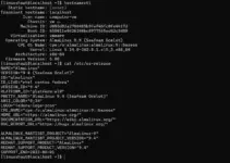 Five commands to Check the AlmaLinux or Rocky Linux version