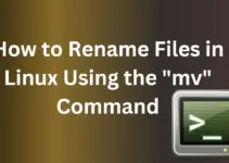 How to Rename Files in Linux Using the “mv” Command