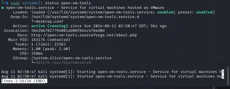 Check the status of Open VM tools desktop