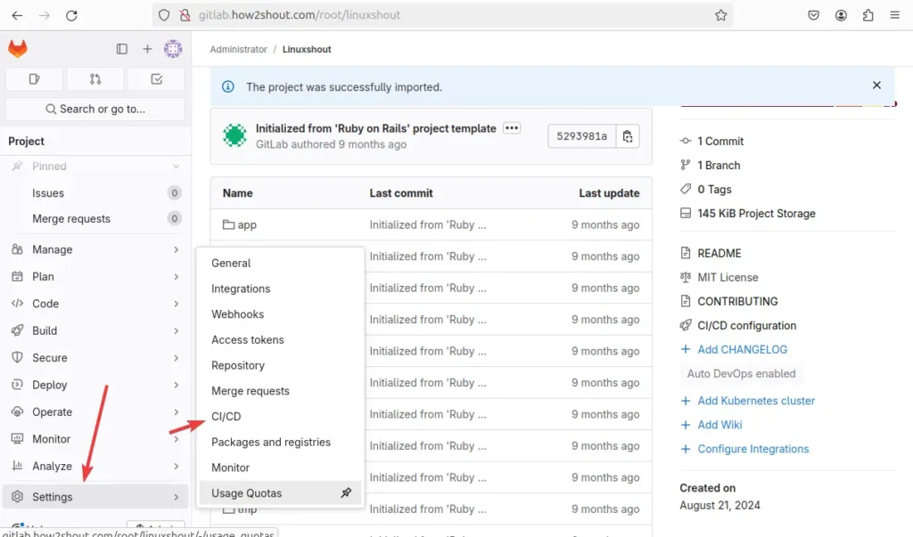 Gitlab Runner Settings