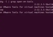 How to Check if VMware Tools Are Installed in Linux?