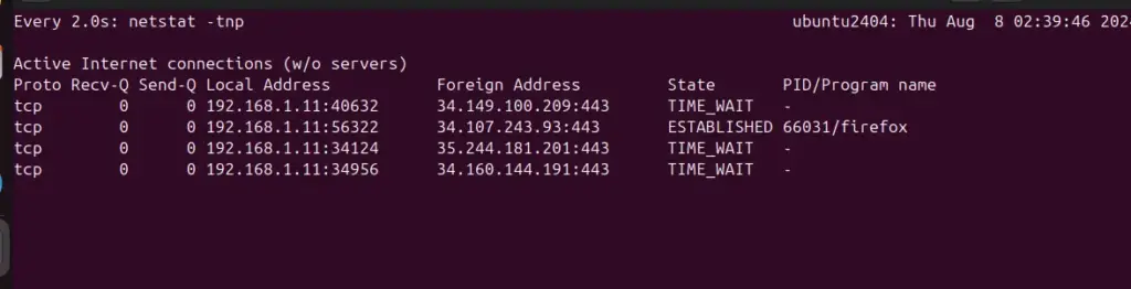 Realtime monitoring connections using netstat