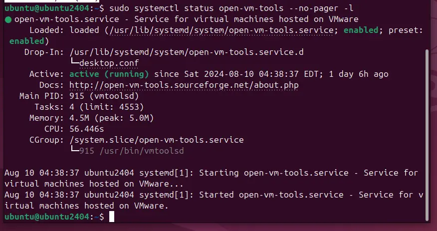 check open vm tools service status on linux