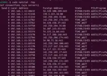 How do you use Netstat to find a Remote IP address?