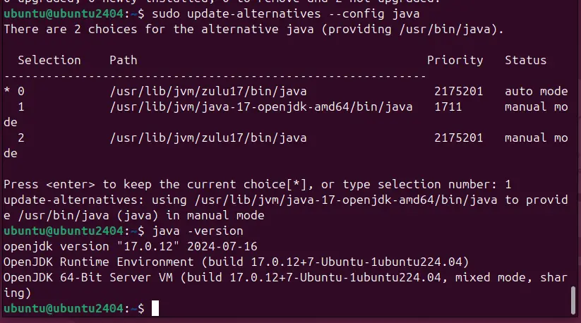 Set Zulu Java Version as default Ubuntu